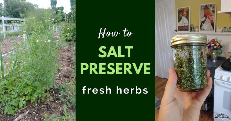 Easy method to store and preserve fresh herbs using salt. Quick, affordable and a time saver for when you are ready to use them! Works for all kinds of herbs like cilantro, basil, sage, oregano, parsley and chives! Easy flavor boost for your homemade foods.