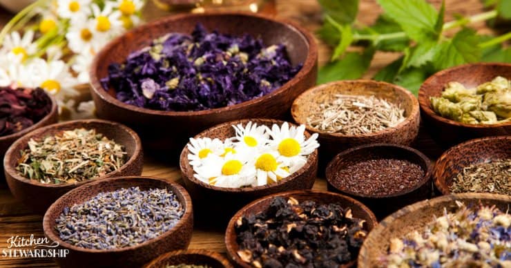 becoming a nutritionist, herbalist, or health coach