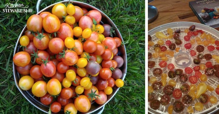 Easy Tomato Preservation cherry tomatoes