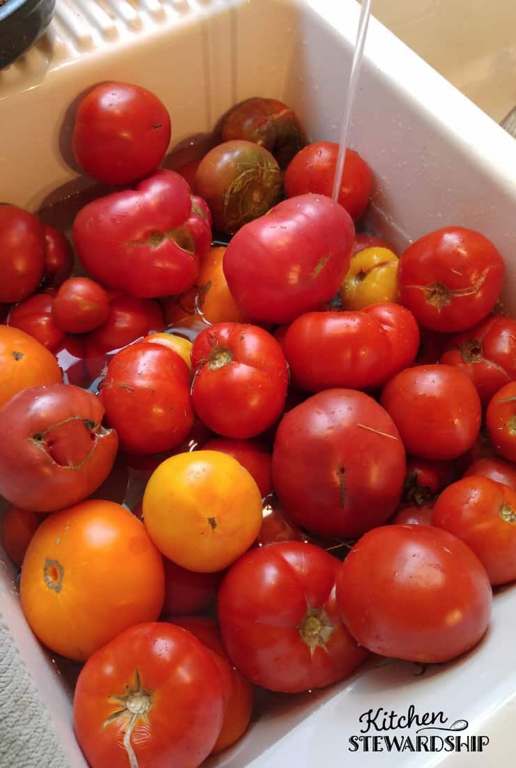 Easy Tomato Preservation tomatoes in sink