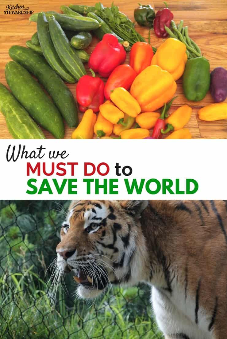 10 things scientists say we must do to save the world