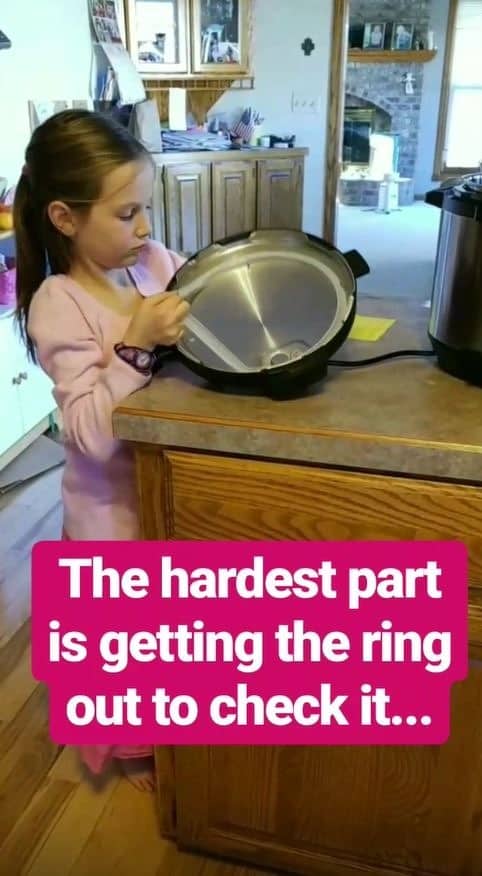 checking the ring of the Instant Pot for cracks