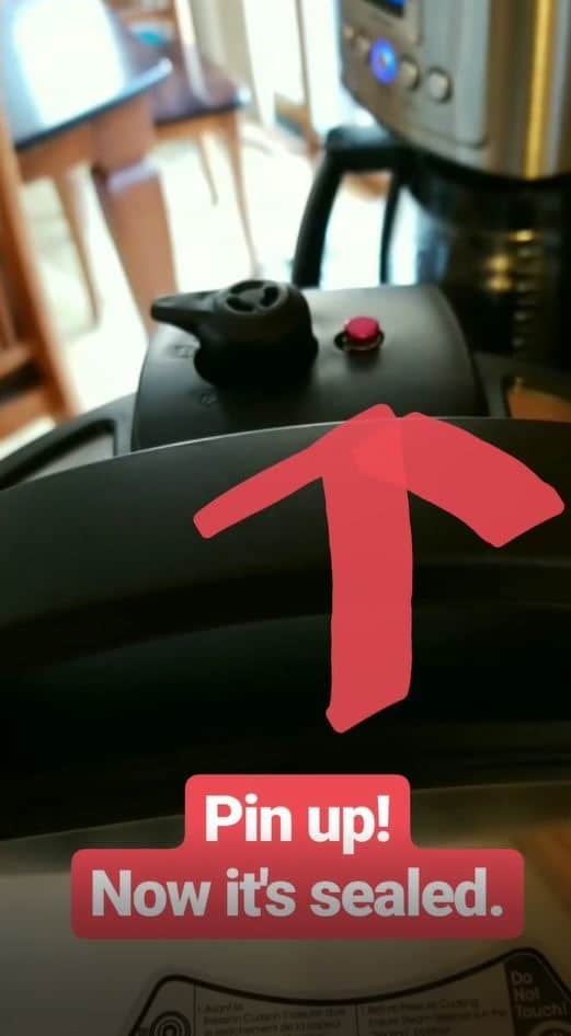 pin up sealed on an Instant Pot