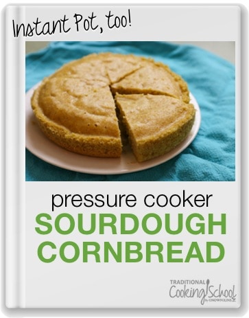 Traditional Cooking School Instant Pot Sourdough Cornbread Pressure Cooker Recipe