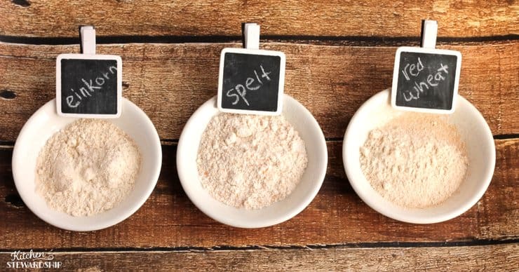 einkorn, spelt and red wheat flour in white bowls.