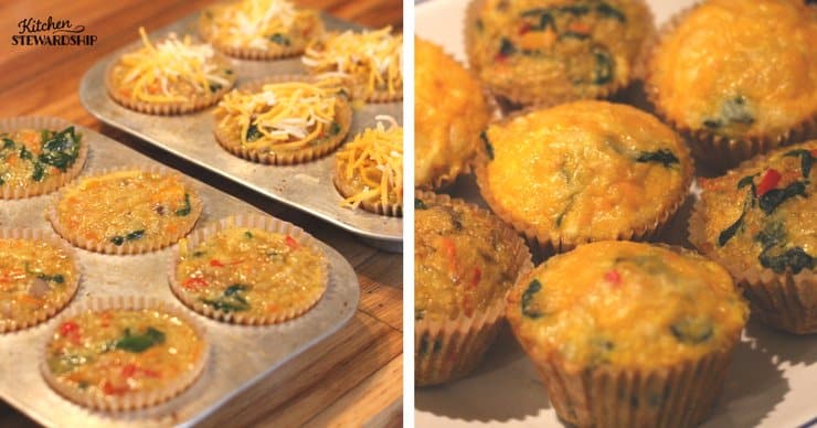 Quinoa, veggie and cheese egg breakfast bites in a muffin tin and on a plate.