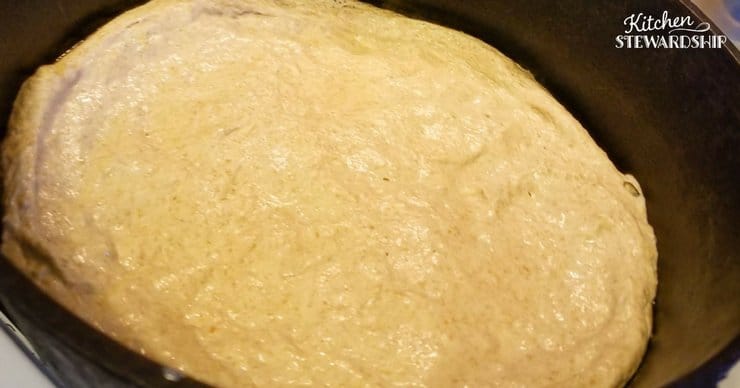 Einkorn flour pizza dough after proofing for 1 hour. Looks less sticky then it did prior to resting.