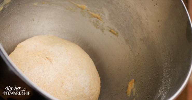 Whole wheat pizza dough, forms a perfect dough ball.