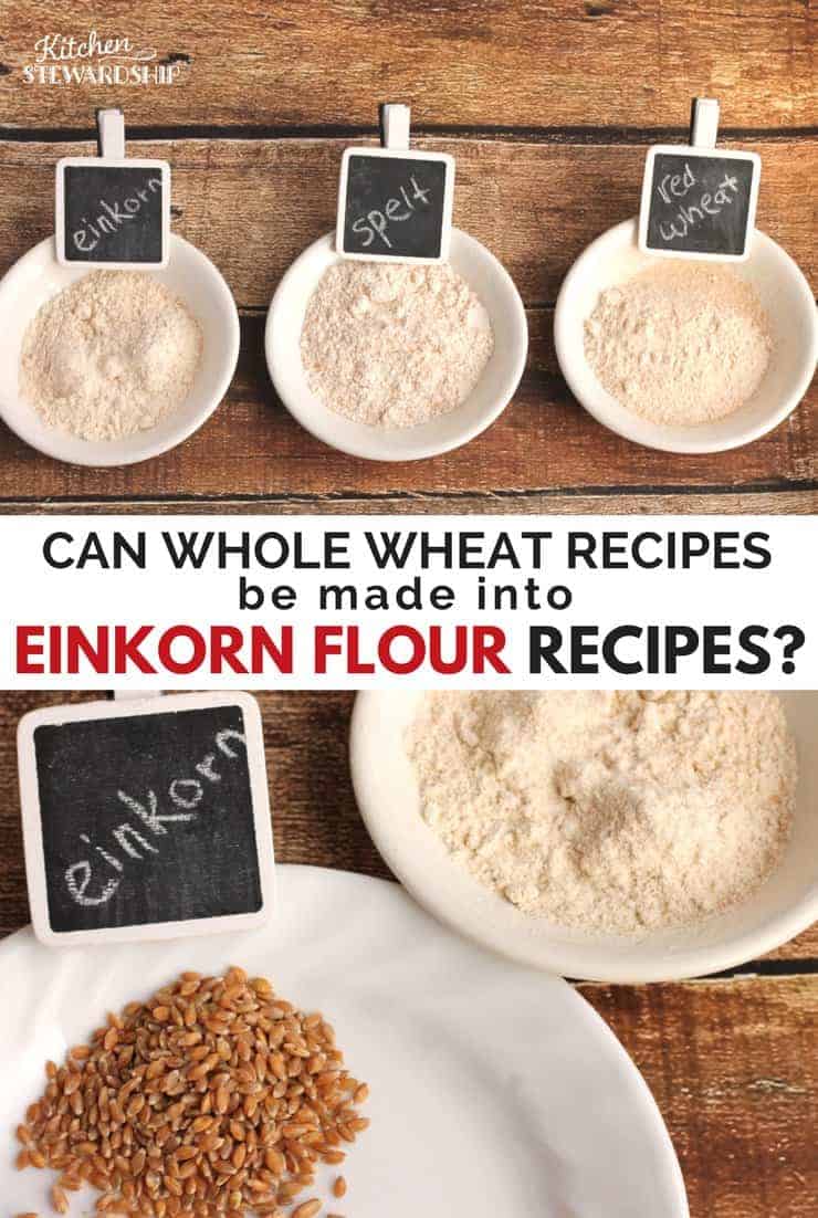 Einkorn flour, spelt flour and red wheat flour in small white bowls. Picture below is einkorn flour and grains on white plates. 