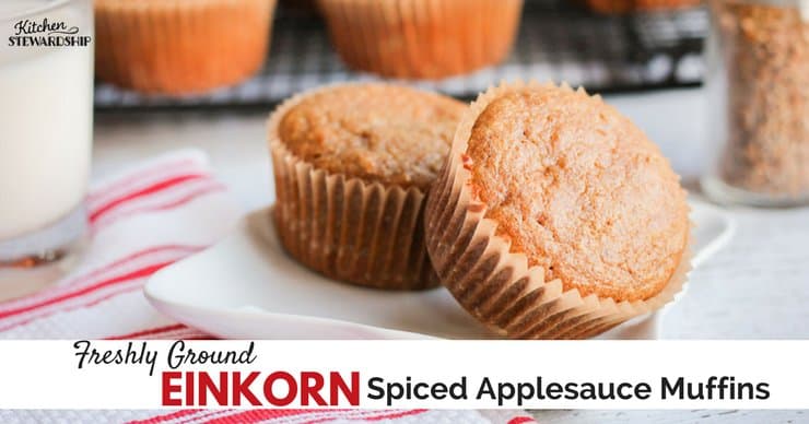 Einkorn spiced applesauce muffins