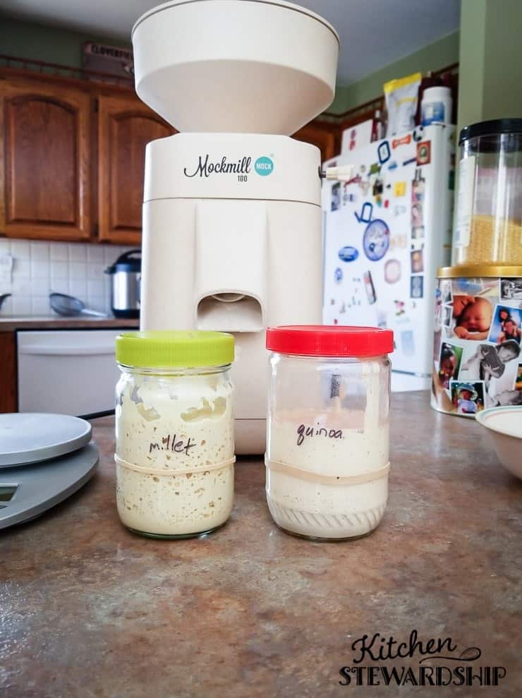 Mockmill grain mill on counter with sourdough starters, millet and quinoa.