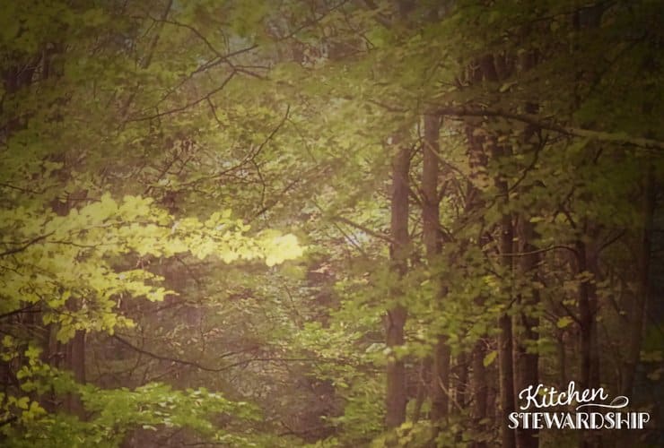 Using a picture of nature to make a room look larger. 