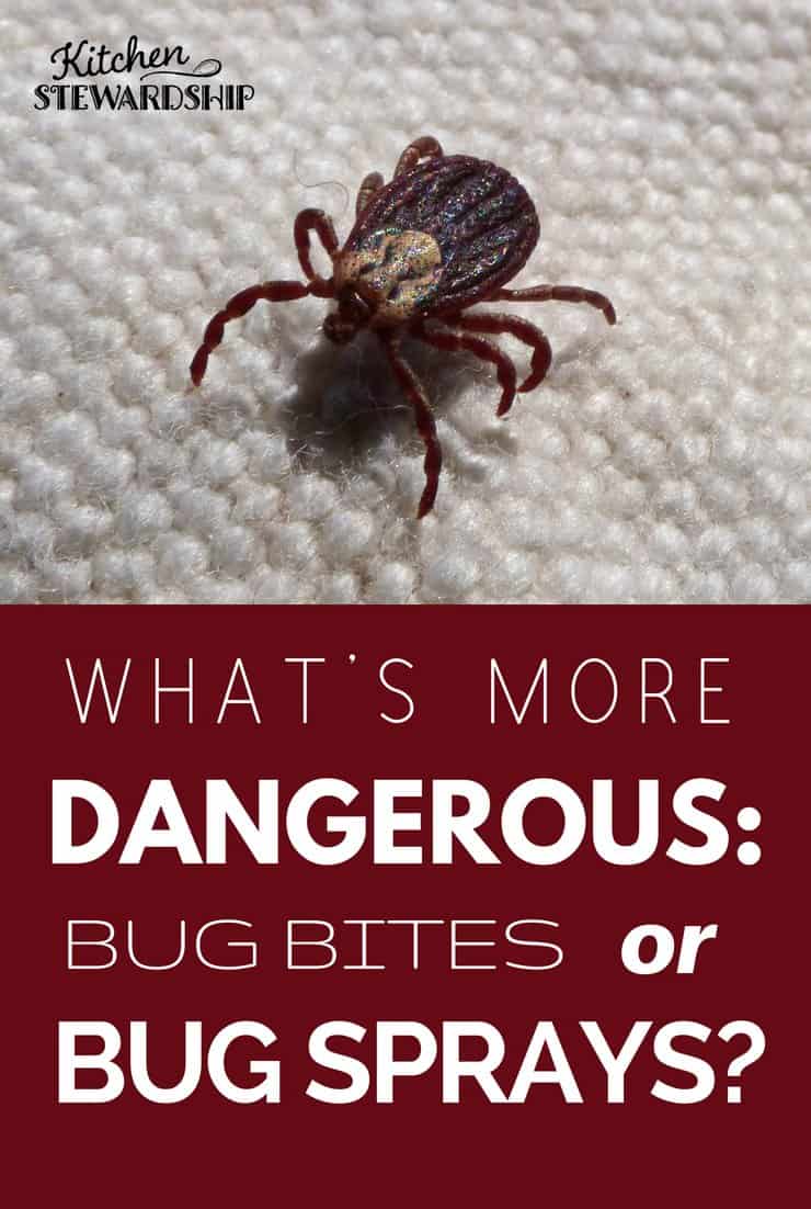 what's more dangerous - bug bites or bug sprays?