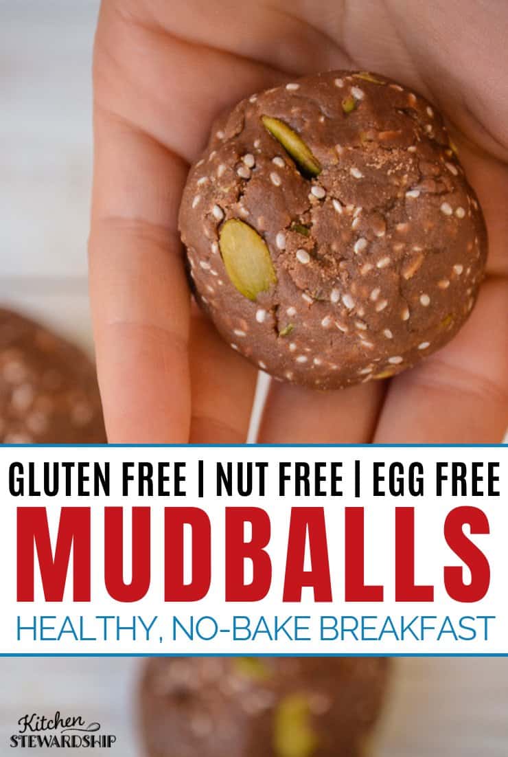 Easy Gluten Free Nut Free Breakfast Mudball Recipe