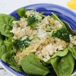 Shredded Chicken in the Instant Pot