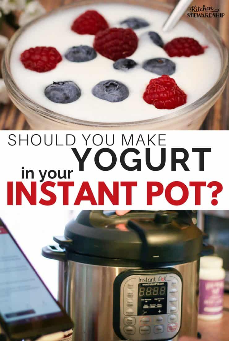 Instant Pot and homemade yogurt in a bowl with fruit. 
