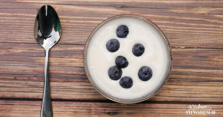 yogurt and blueberries