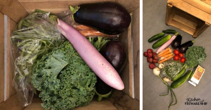 CSA box vegetables