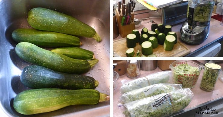 zucchini, in a sink, cut, and shredded for the freezer