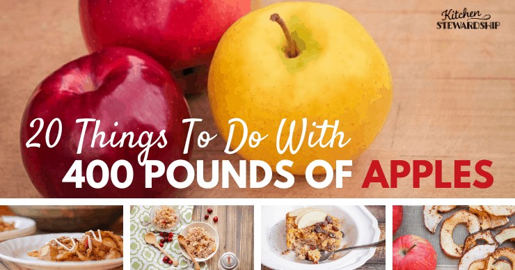 ways to preserve applies with recipes