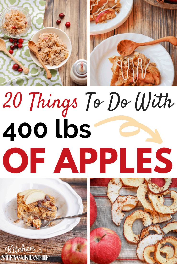 what to do with apples, dehydrated apples