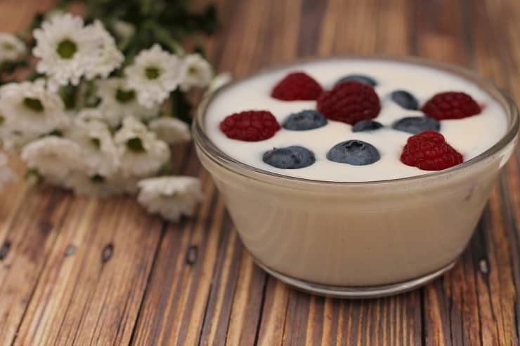 homemade yogurt with fruit