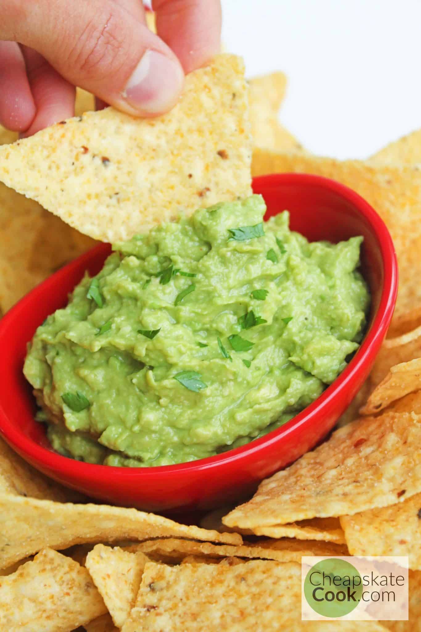 tortilla chip dipped in homemade guacamole