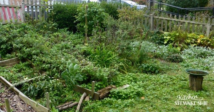 green garden with boxes
