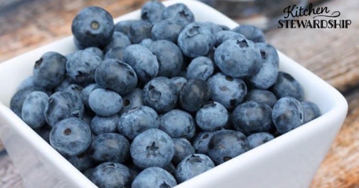 Antioxidant rich bowl of blueberries