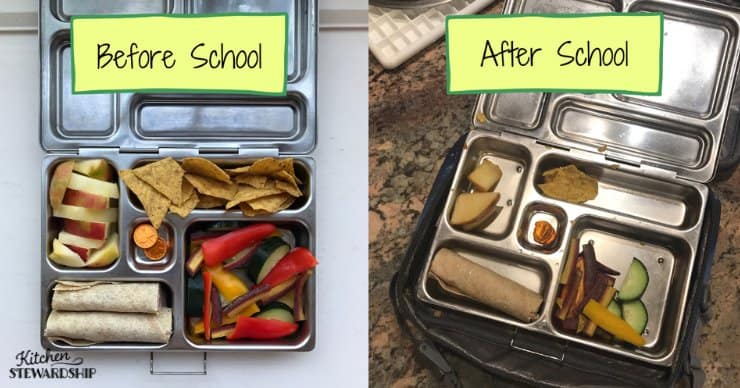 packed school lunches