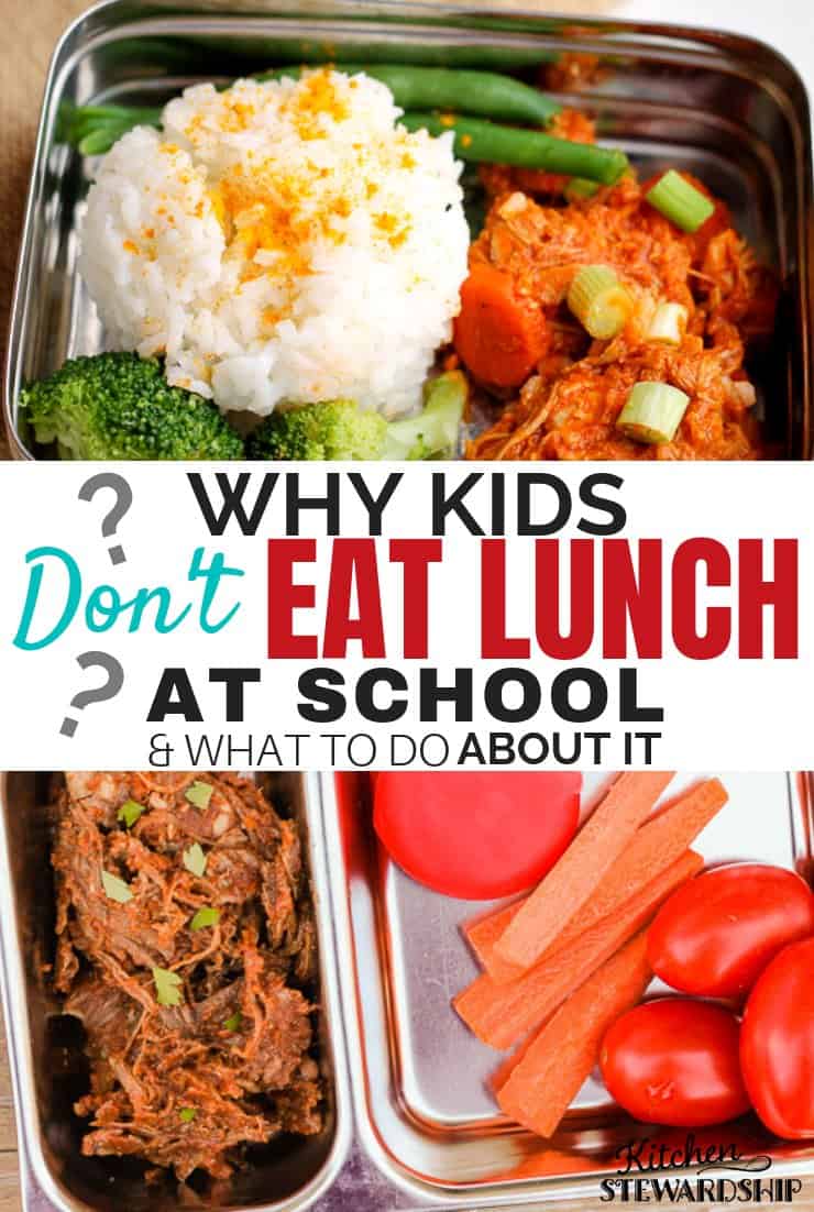 Healthy kids school lunch boxes packed