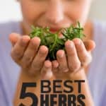Top 5 Herbs for Cold and Flu Season