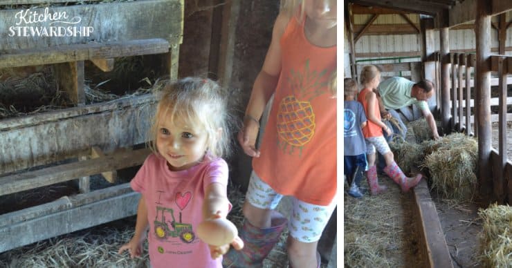 kids helping around the farm