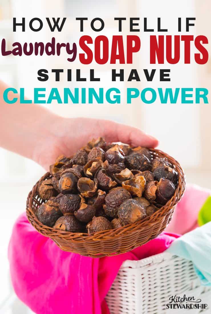 How to tell if laundry soap nuts still have cleaning power