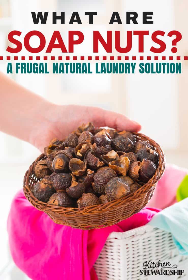 What are soap nuts? A frugal natural laundry solution!
