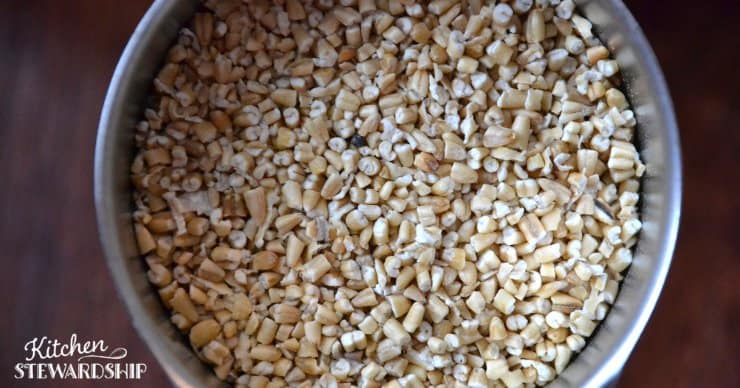 bowl of steel cut oats