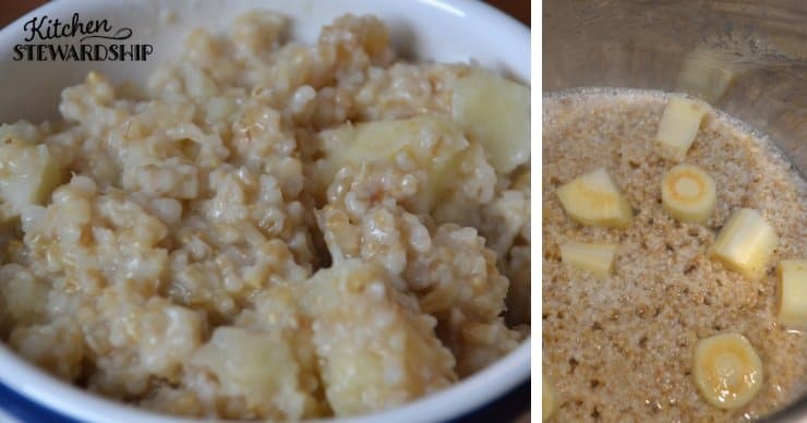 Instant pot with steel cut oatmeal and vegetables