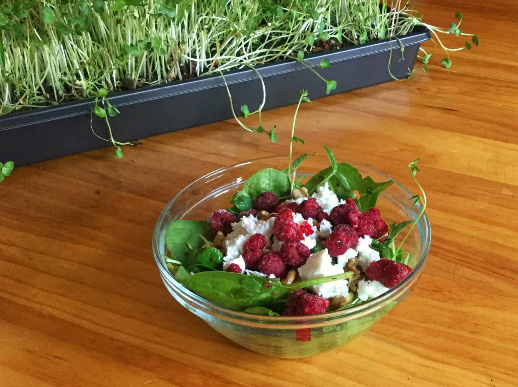 Microgreens and salad