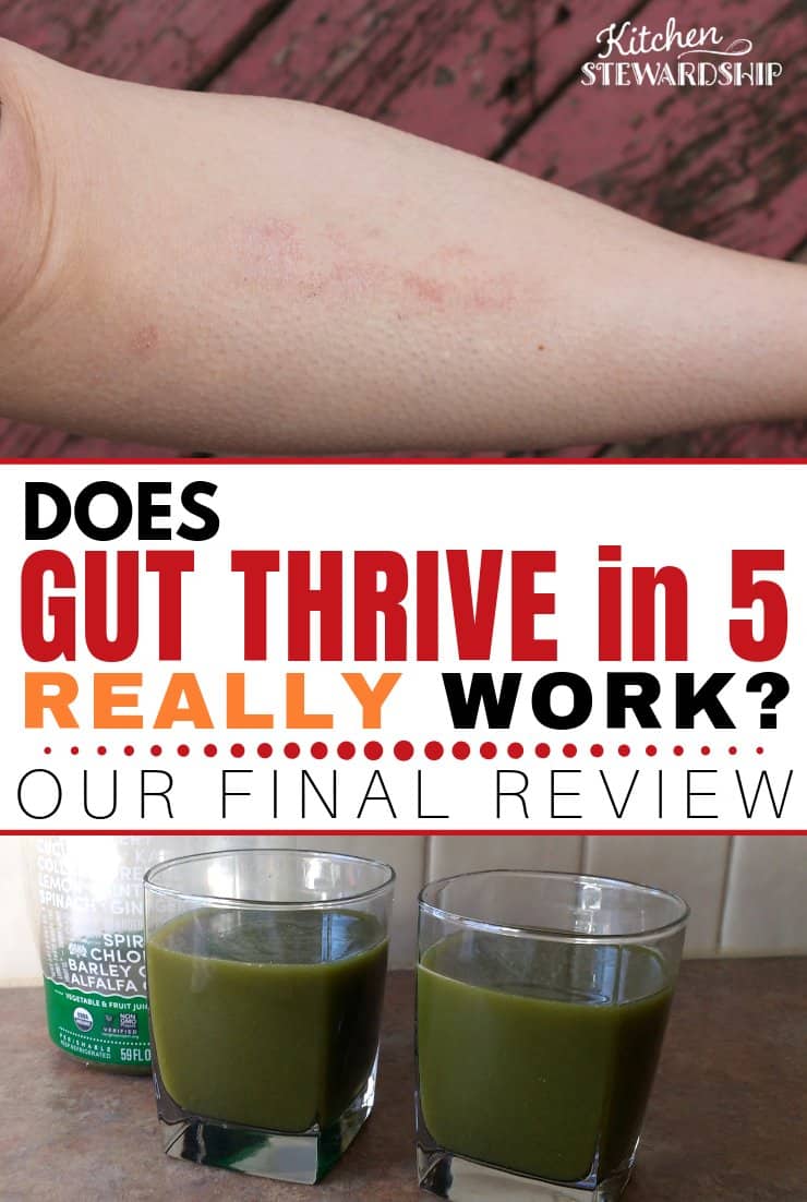 Does Gut Thrive in 5 Really Work? The Final Review