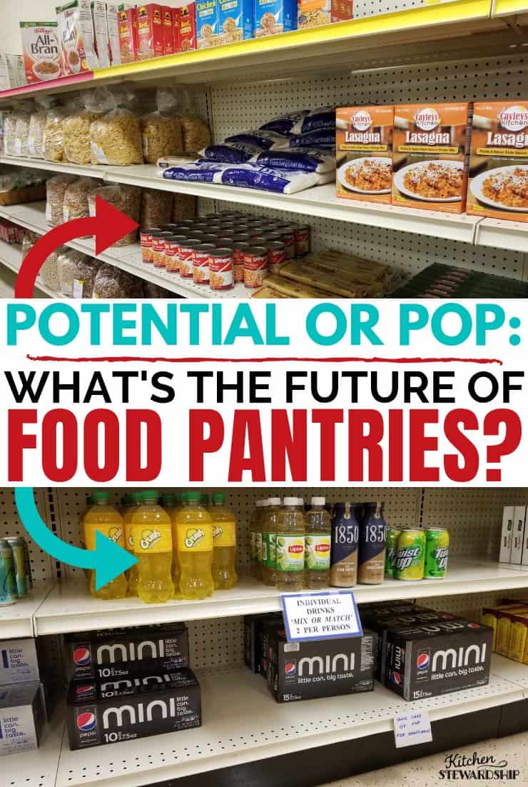 Potential or Pop: What's the Future of Food Pantries?