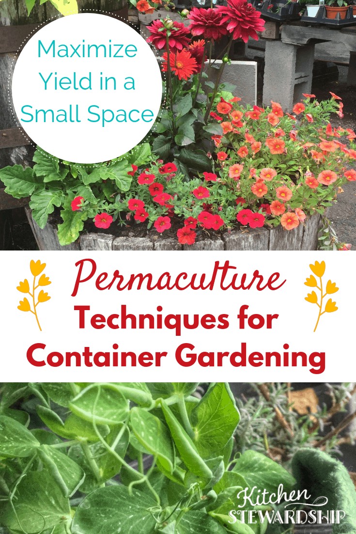 Permaculture Techniques for Container Gardening