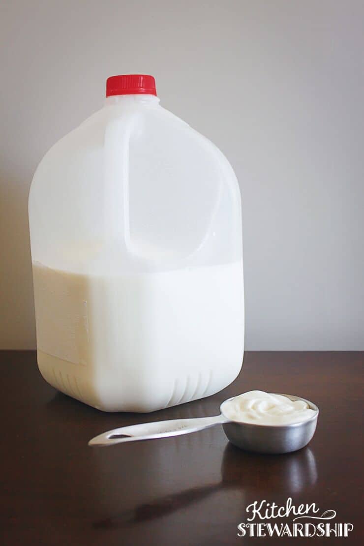 Bottle of milk and scoop of yogurt for Instant Pot Yogurt