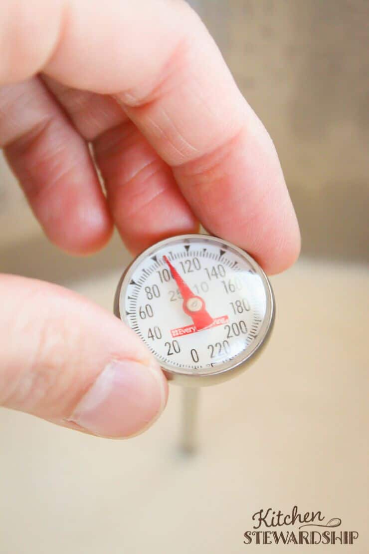 Thermometer in yogurt