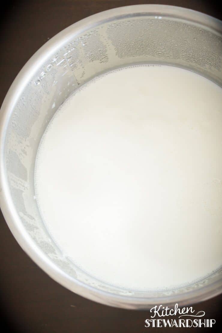 Yogurt in the Instant Pot 