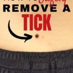 How to Safely Remove a Tick