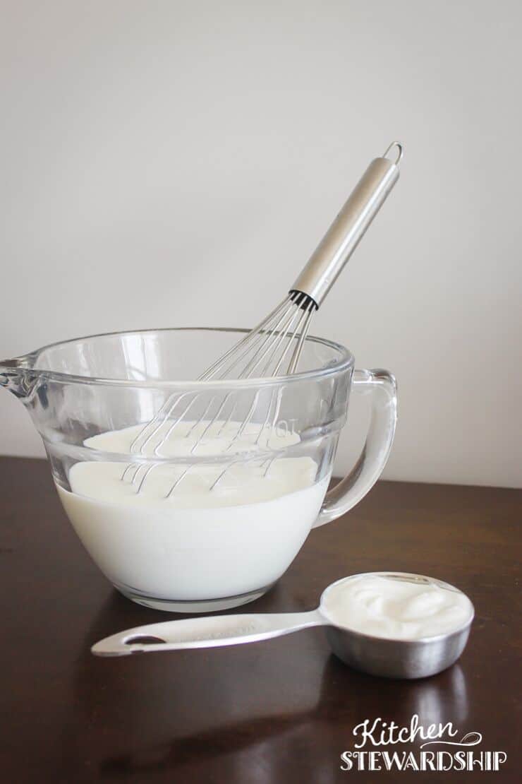 Bowl of milk, scoop of yogurt and whisk for Instant Pot Yogurt