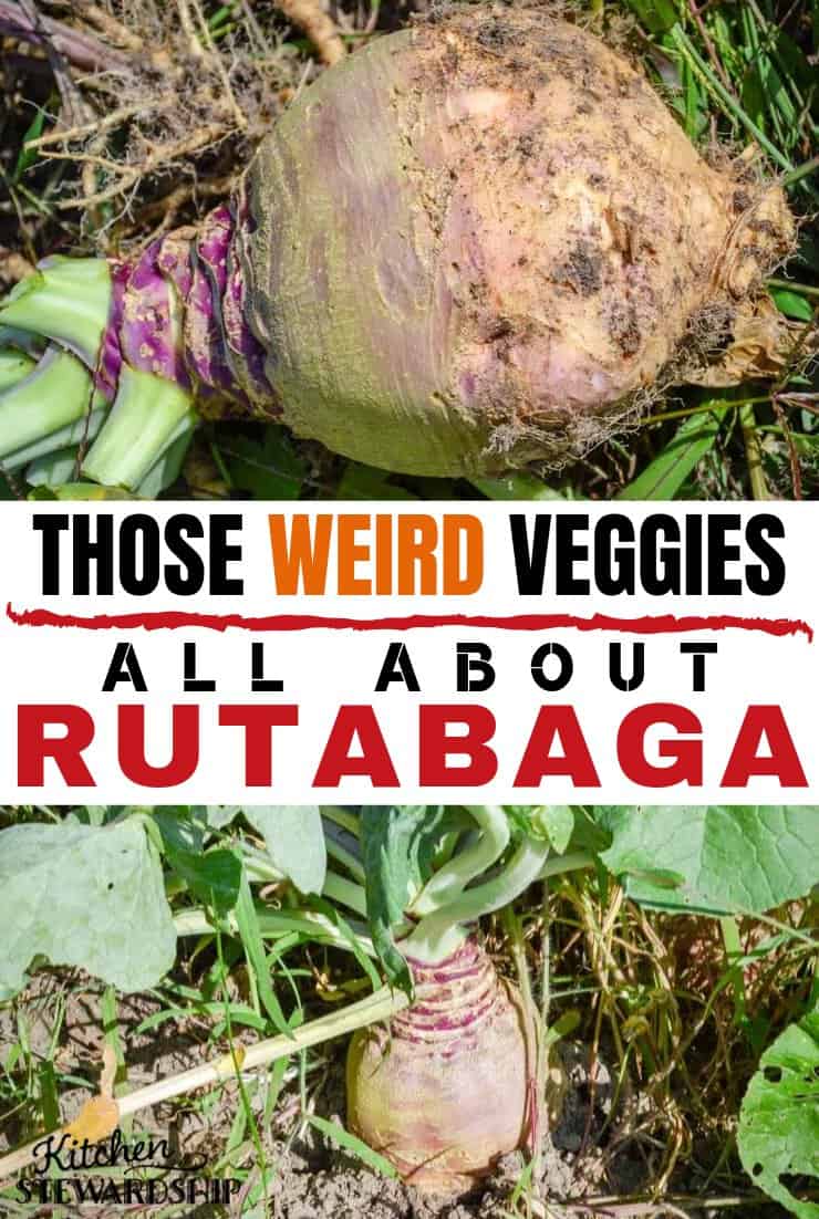 Those weird veggies: all about rutabaga