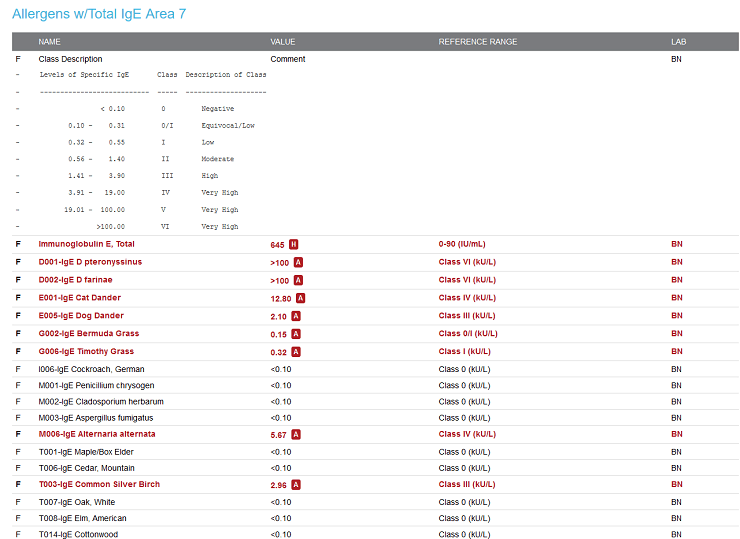 IgE environmental allergy test results