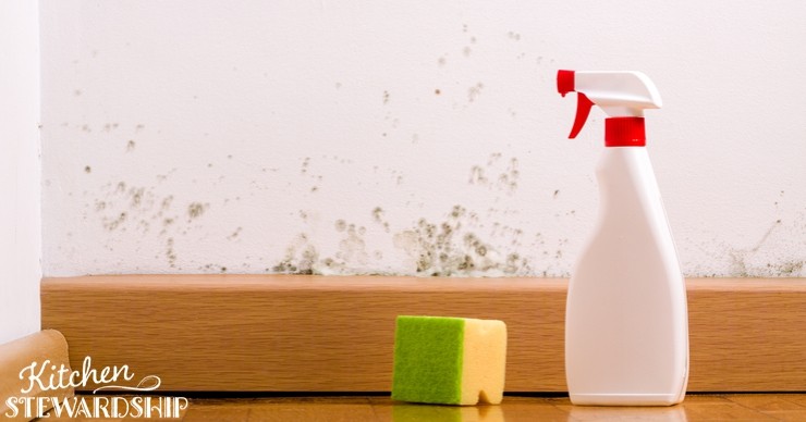 sponge and spray cleaner near moldy wall