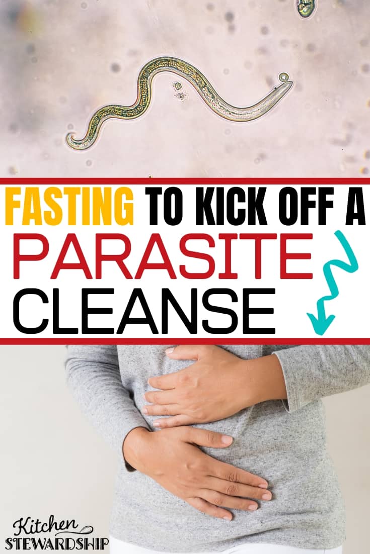 Fasting to Kick off a Parasite Cleanse